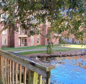 Apartments in Baton Rouge, LA -  Exterior View of Buildings and Pond with Wooden Bridge Walkway 